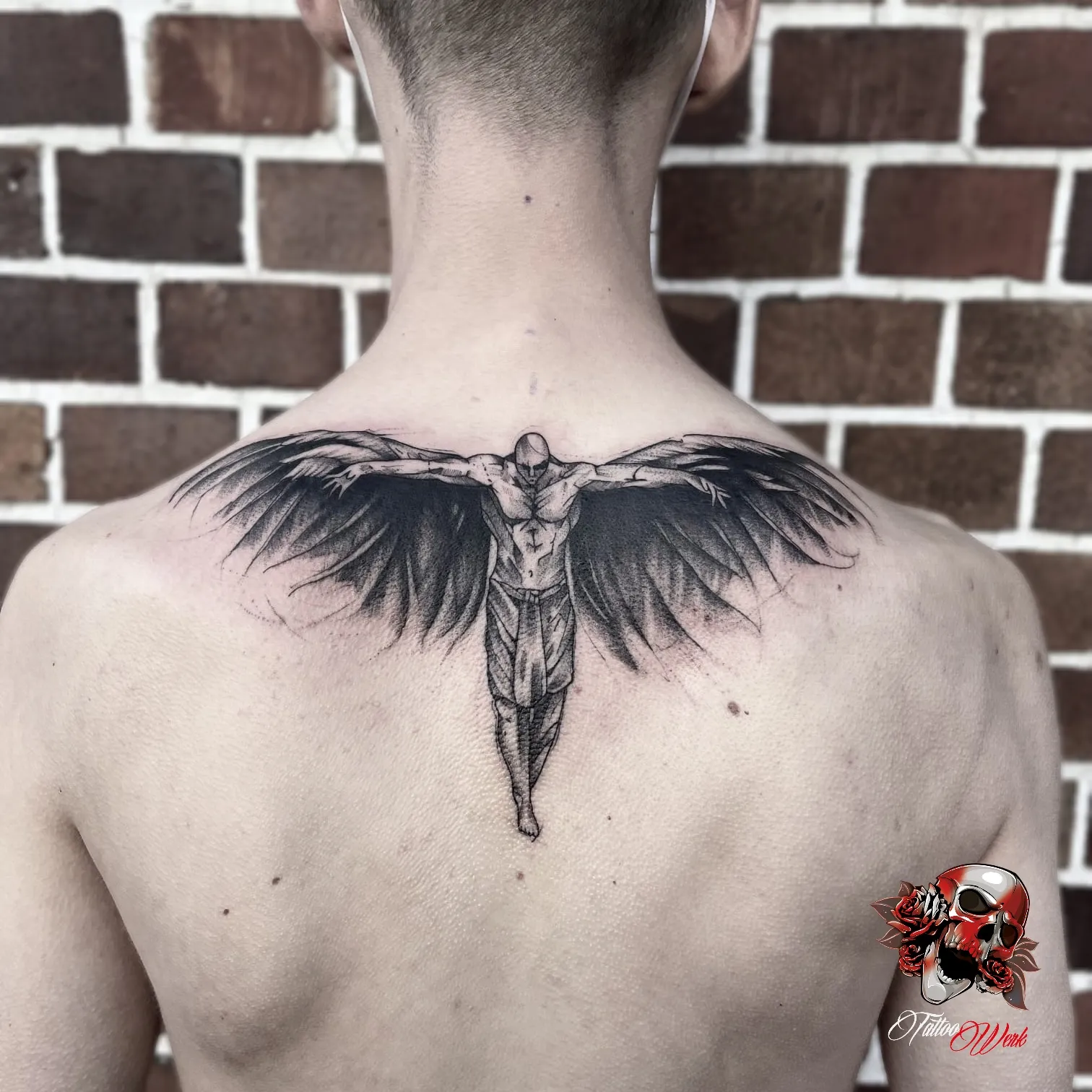 gallery-alex-54D4F204-FBD0-4EC8-9FC9-2636501C8A37.webp