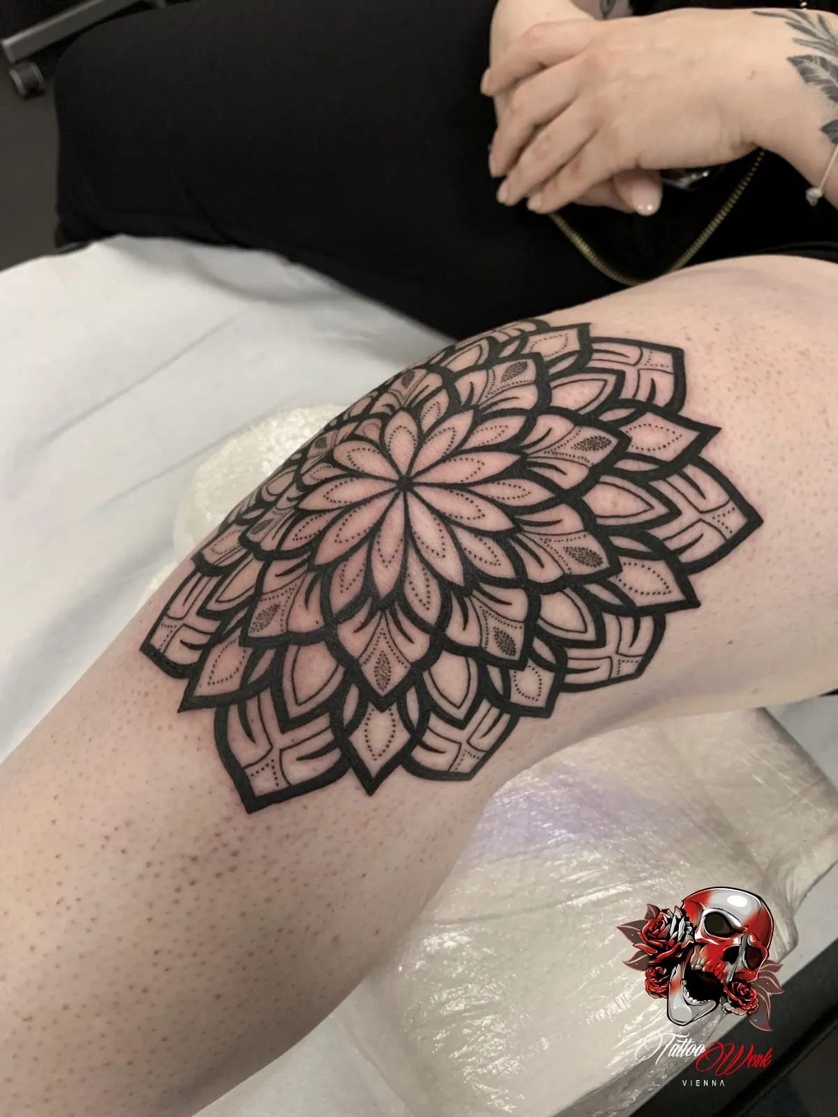 gallery-andi-IMG-20191101-WA0002.webp