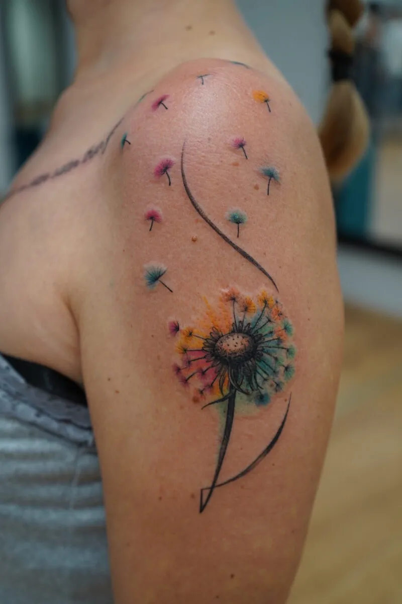 gallery-dominika-DSC01497.webp